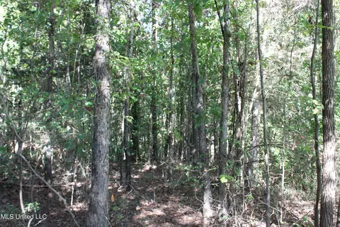 1502 Lower Gurley Rd, Potts Camp, MS 38659 photo 14
