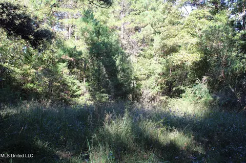 1502 Lower Gurley Rd, Potts Camp, MS 38659 photo 50