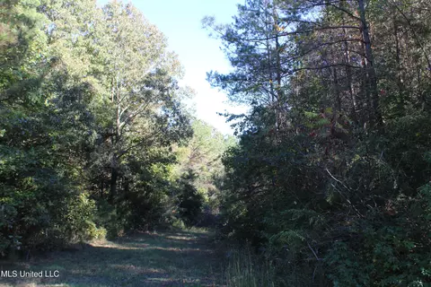 1502 Lower Gurley Rd, Potts Camp, MS 38659 photo 47
