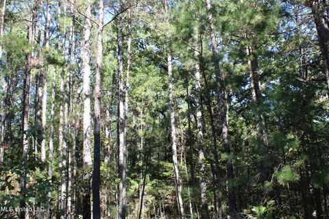 1502 Lower Gurley Rd, Potts Camp, MS 38659 photo 22
