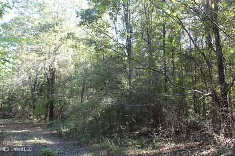 1502 Lower Gurley Rd, Potts Camp, MS 38659 photo 35