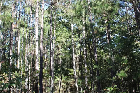 1503 Lower Gurley Rd, Potts Camp, MS 38659 photo 22