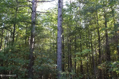 1503 Lower Gurley Rd, Potts Camp, MS 38659 photo 37