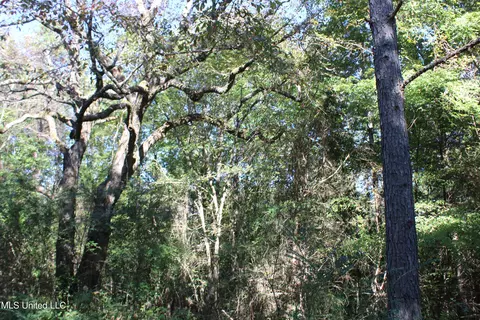 1503 Lower Gurley Rd, Potts Camp, MS 38659 photo 30