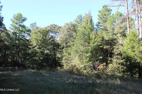 1503 Lower Gurley Rd, Potts Camp, MS 38659 photo 43
