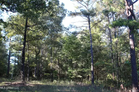 1503 Lower Gurley Rd, Potts Camp, MS 38659 photo 44