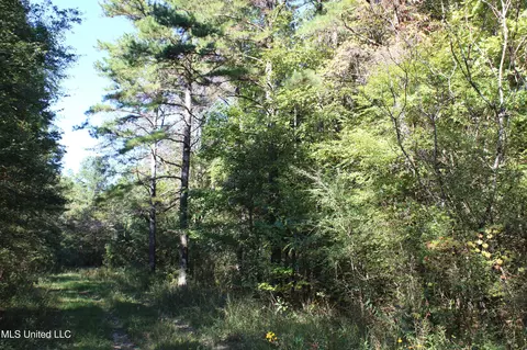 1503 Lower Gurley Rd, Potts Camp, MS 38659 photo 29