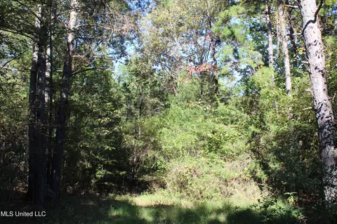 1503 Lower Gurley Rd, Potts Camp, MS 38659 photo 31