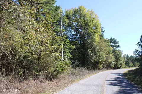 1503 Lower Gurley Rd, Potts Camp, MS 38659 photo 3