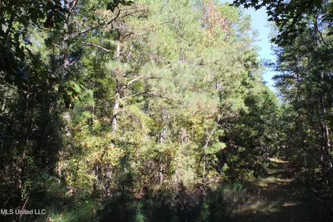 1503 Lower Gurley Rd, Potts Camp, MS 38659 photo 21