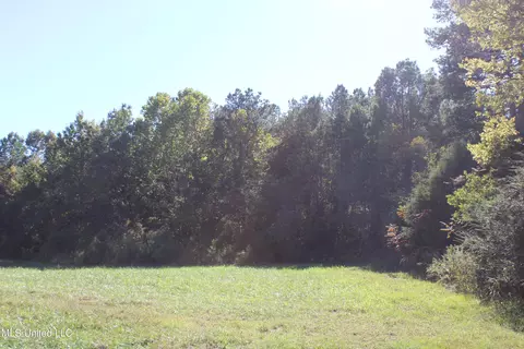 1503 Lower Gurley Rd, Potts Camp, MS 38659 photo 15
