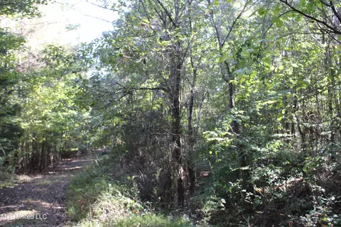 1503 Lower Gurley Rd, Potts Camp, MS 38659 photo 33