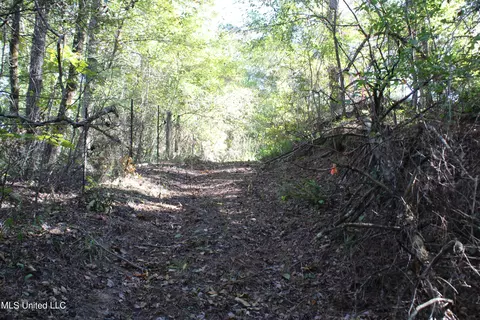 1503 Lower Gurley Rd, Potts Camp, MS 38659 photo 42
