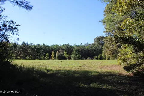 1503 Lower Gurley Rd, Potts Camp, MS 38659 photo 49