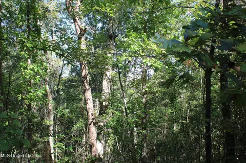 1503 Lower Gurley Rd, Potts Camp, MS 38659 photo 23