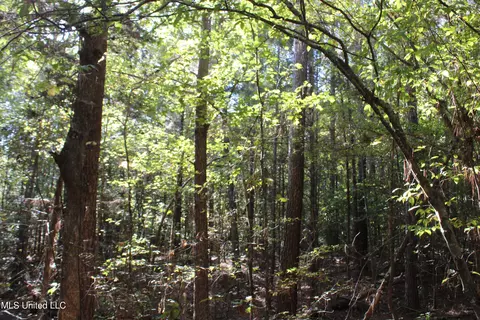 1503 Lower Gurley Rd, Potts Camp, MS 38659 photo 41