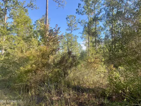170 Deep Creek Rd, Wiggins, MS 39577