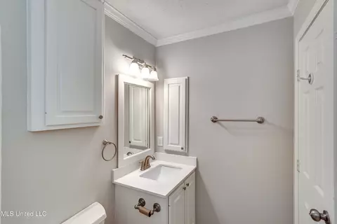 Bath - 205 Trace Harbor Rd, Madison, MS 39110 photo 3 of 4