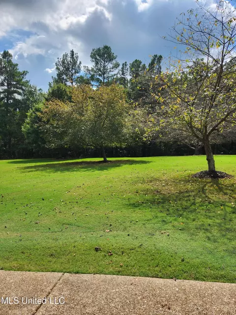 Exterior - 425 Buck Cv, Hernando, MS 38632 photo 17 of 30