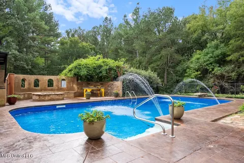 Exterior - 425 Buck Cv, Hernando, MS 38632 photo 13 of 30