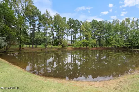 View/Area - 425 Buck Cv, Hernando, MS 38632 photo 1 of 1