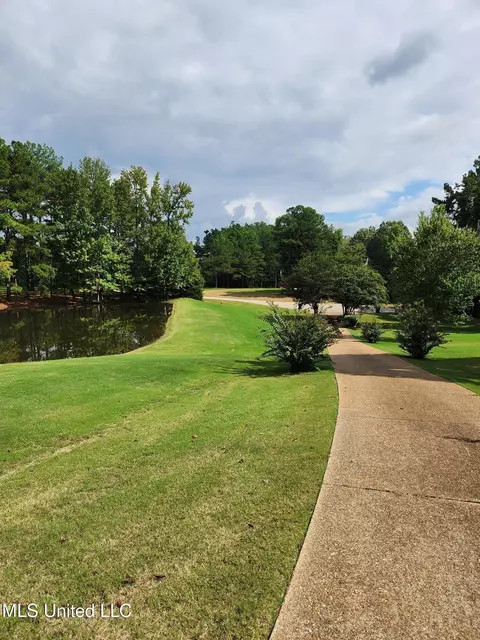 Exterior - 425 Buck Cv, Hernando, MS 38632 photo 15 of 30