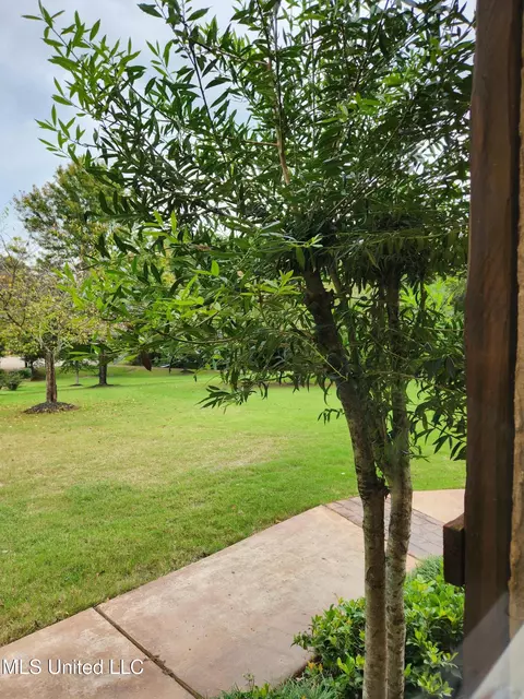 Exterior - 425 Buck Cv, Hernando, MS 38632 photo 21 of 30