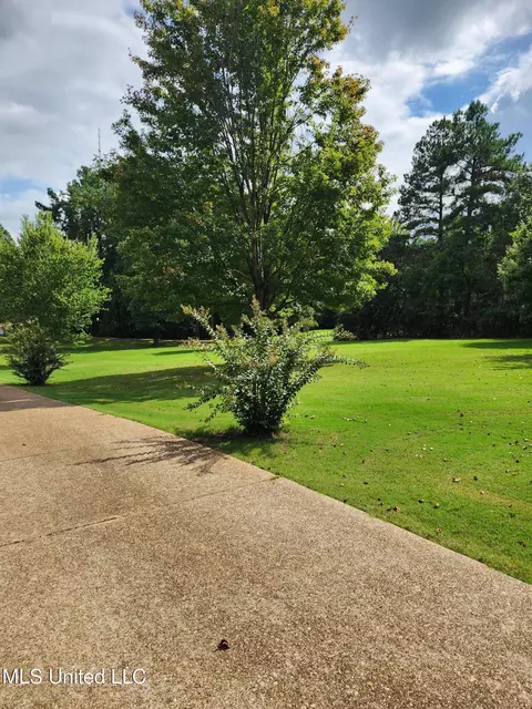 Exterior - 425 Buck Cv, Hernando, MS 38632 photo 16 of 30