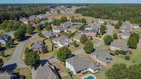 View/Area - 4786 Delbridge E Ct, Olive Branch, MS 38654 photo 5 of 5