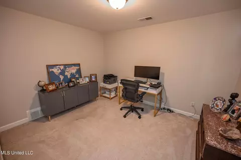 Other - 4786 Delbridge E Ct, Olive Branch, MS 38654 photo 12 of 17