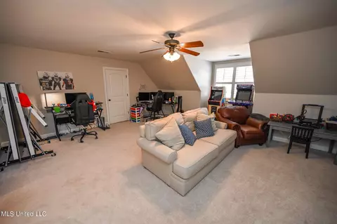 Other - 4786 Delbridge E Ct, Olive Branch, MS 38654 photo 11 of 17