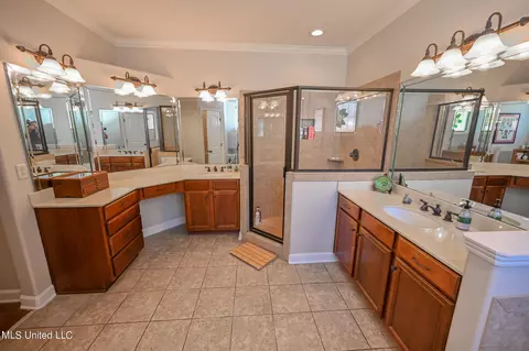 Bath - 4786 Delbridge E Ct, Olive Branch, MS 38654 photo 3 of 8