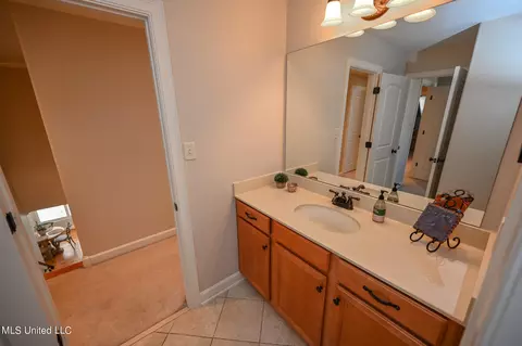 Bath - 4786 Delbridge E Ct, Olive Branch, MS 38654 photo 8 of 8