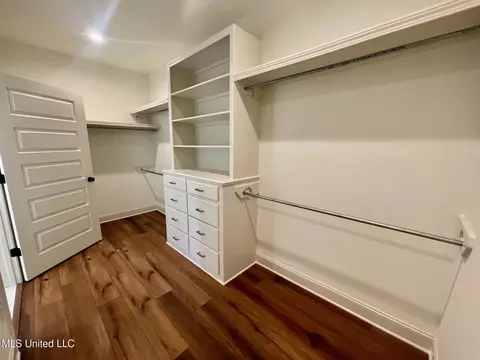 Other - 354 Wellstone Pl, Madison, MS 39110 photo 14 of 17