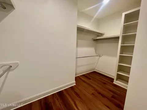 Other - 354 Wellstone Pl, Madison, MS 39110 photo 12 of 17