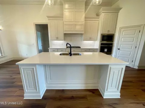Kitchen - 354 Wellstone Pl, Madison, MS 39110 photo 2 of 5