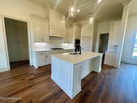 Kitchen - 354 Wellstone Pl, Madison, MS 39110 photo 1 of 5
