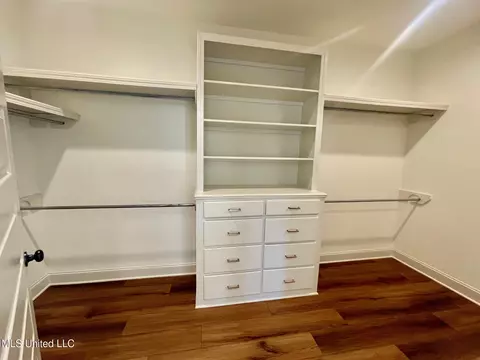 Other - 354 Wellstone Pl, Madison, MS 39110 photo 11 of 17