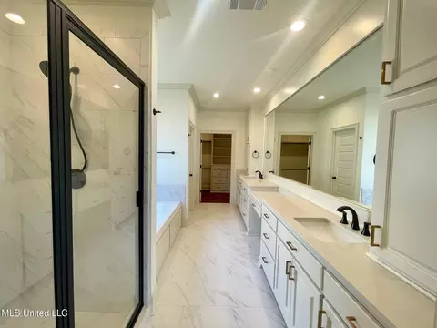 Bath - 354 Wellstone Pl, Madison, MS 39110 photo 1 of 6