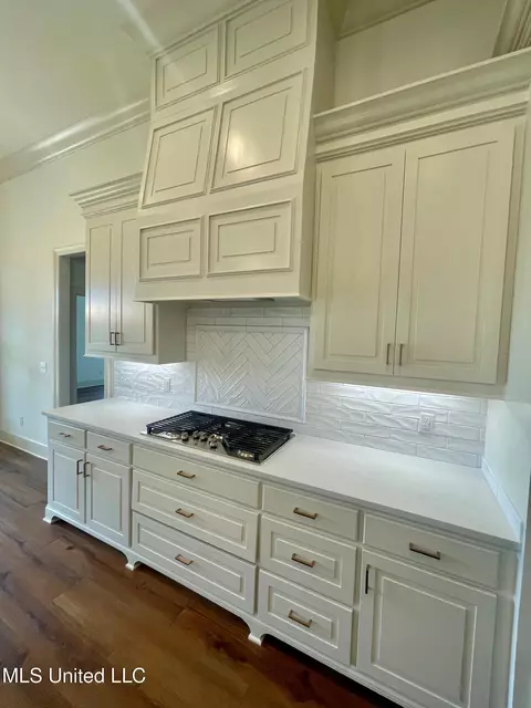 Kitchen - 354 Wellstone Pl, Madison, MS 39110 photo 4 of 5