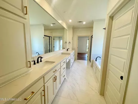Bath - 354 Wellstone Pl, Madison, MS 39110 photo 3 of 6