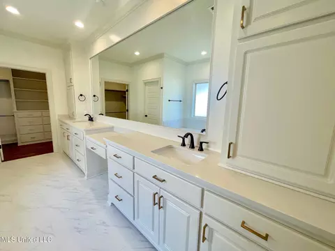 Bath - 354 Wellstone Pl, Madison, MS 39110 photo 2 of 6