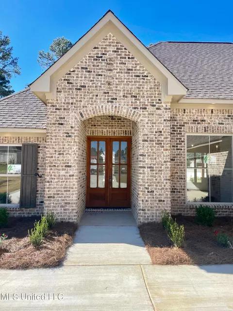 Other - 354 Wellstone Pl, Madison, MS 39110 photo 1 of 17