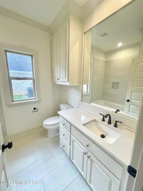 Bath - 354 Wellstone Pl, Madison, MS 39110 photo 4 of 6