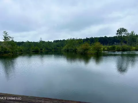 tbd Indian Ln, Vancleave, MS 39565 photo 8