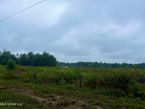 tbd Indian Ln, Vancleave, MS 39565 photo 2