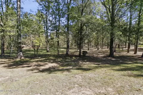 Exterior - 283 Deer Haven Dr, Madison, MS 39110 photo 12 of 13