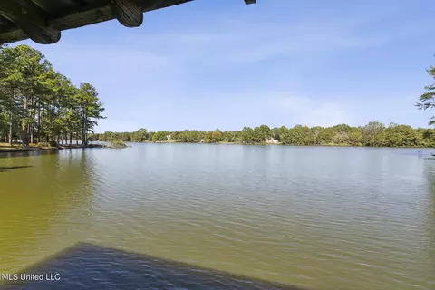 View/Area - 283 Deer Haven Dr, Madison, MS 39110 photo 8 of 8