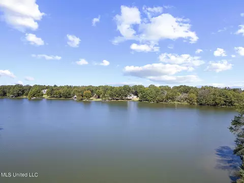 View/Area - 283 Deer Haven Dr, Madison, MS 39110 photo 5 of 8