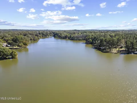 View/Area - 283 Deer Haven Dr, Madison, MS 39110 photo 4 of 8